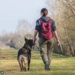 hrana za pse i mačke iskustva – šetnja psa u prirodi